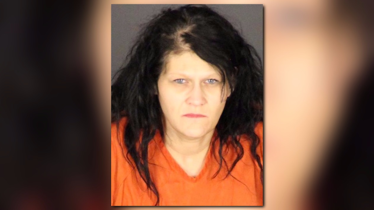 Port Huron mom charged in machete threat